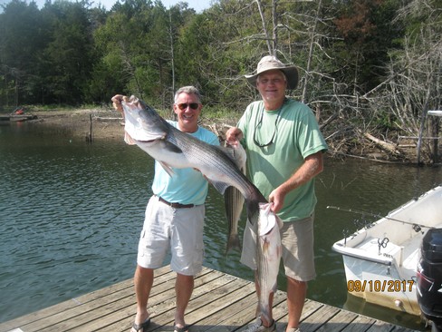 Nice Striped Bass